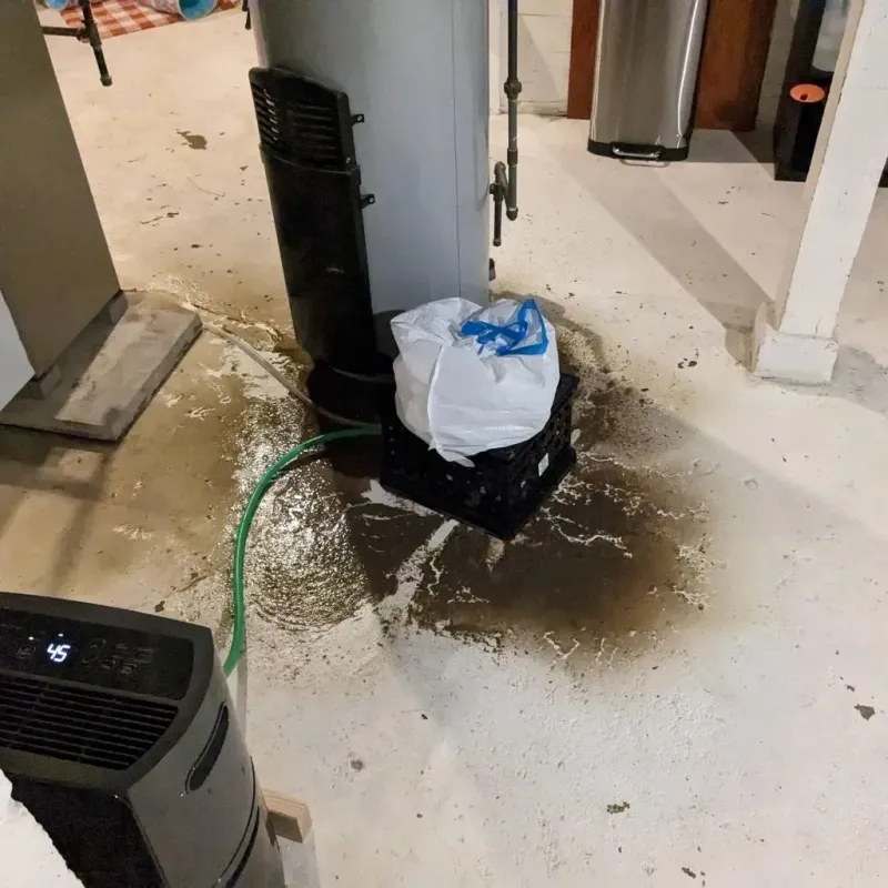Sewage Backup Cleanup Service in Early County, GA